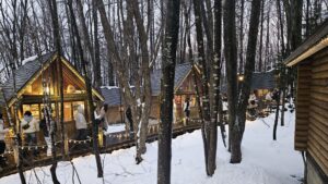 Read more about the article 홋카이도: 켄과 메리의 나무, 사계채의 언덕, 닝구르테라스  231205-2