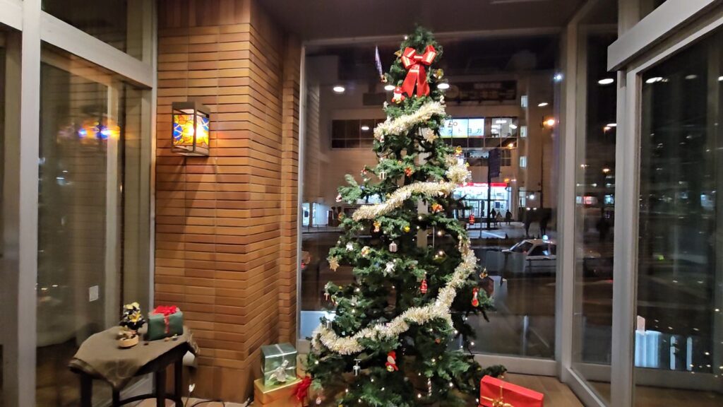 VideoCapture_20241006-161725