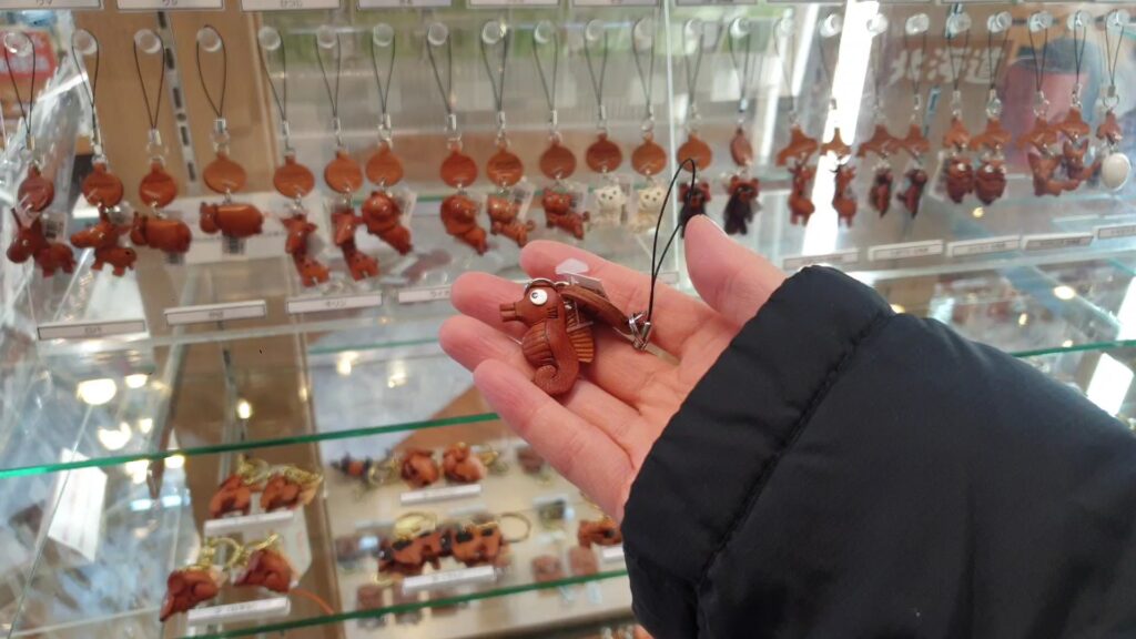 VideoCapture_20241016-110952