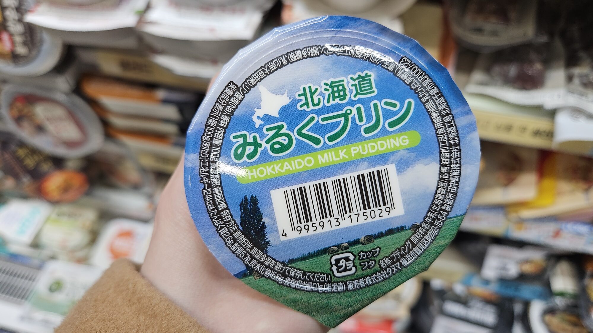 홋카이도 밀크푸딩