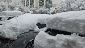 Read more about the article 2024 첫눈!