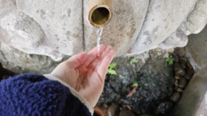 Read more about the article 도쿄: 우에노 공원, 고조텐 신사, 시노바즈노이케 변천당, 동경대 구경 241110-1