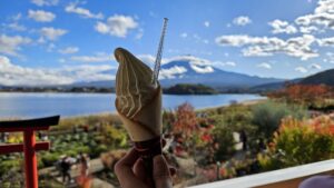 Read more about the article 후지산 가와구치코: 음악과 숲의 박물관, 오이시 공원 241111-2