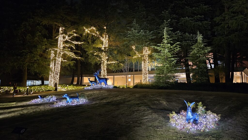 This image has an empty alt attribute; its file name is 20241109_2000114076524484751924715-1024x577.jpg