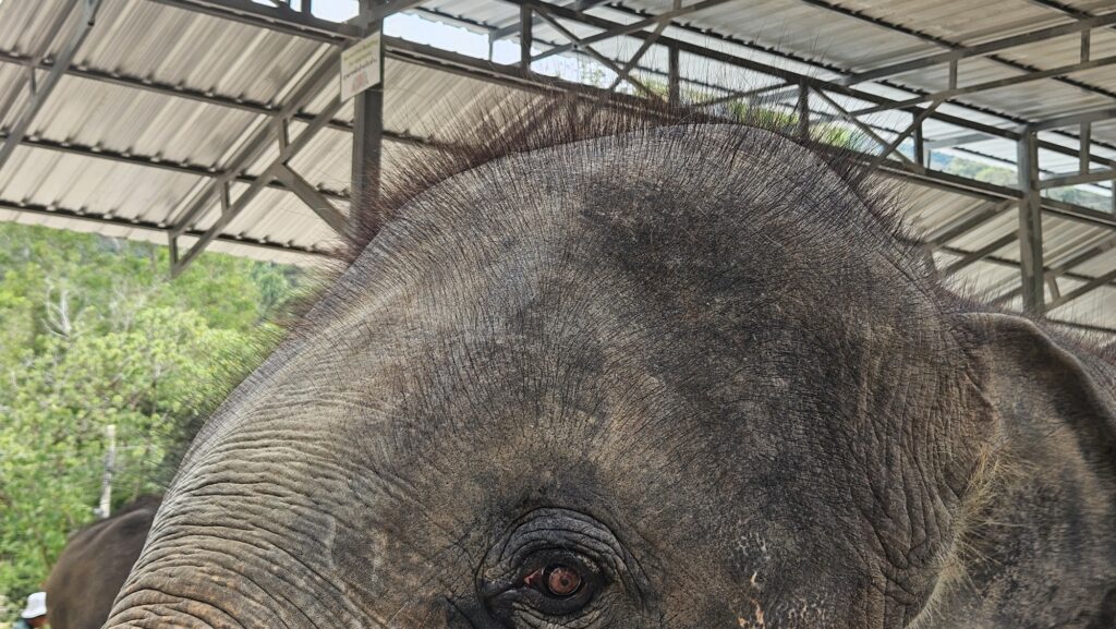 This image has an empty alt attribute; its file name is 20250124_1545453504571767011297173-1024x577.jpg