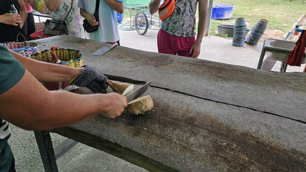 This image has an empty alt attribute; its file name is 20250124_1529378552715930246421580-1024x577.jpg