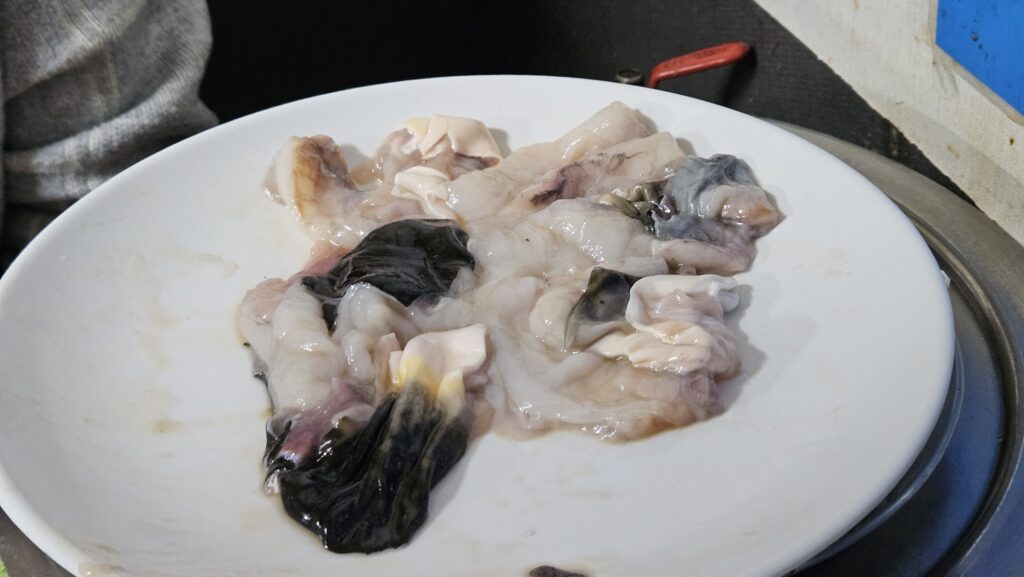 This image has an empty alt attribute; its file name is 20250131_1815512568779830647062790-1024x577.jpg