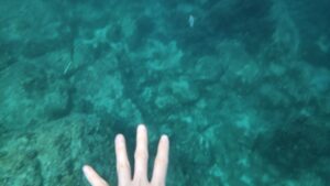 Read more about the article 푸켓: 라차섬 투어 250126-1