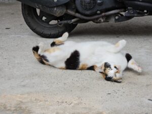 Read more about the article 임신 후기로 접어들며.. 29주