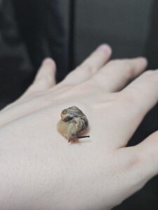 Read more about the article 달팽이 발견한 날