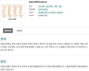 Read more about the article 임신 24주 – 부종, 다리 저림, 좌골신경통, 감기