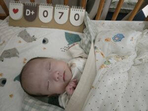 Read more about the article 단비